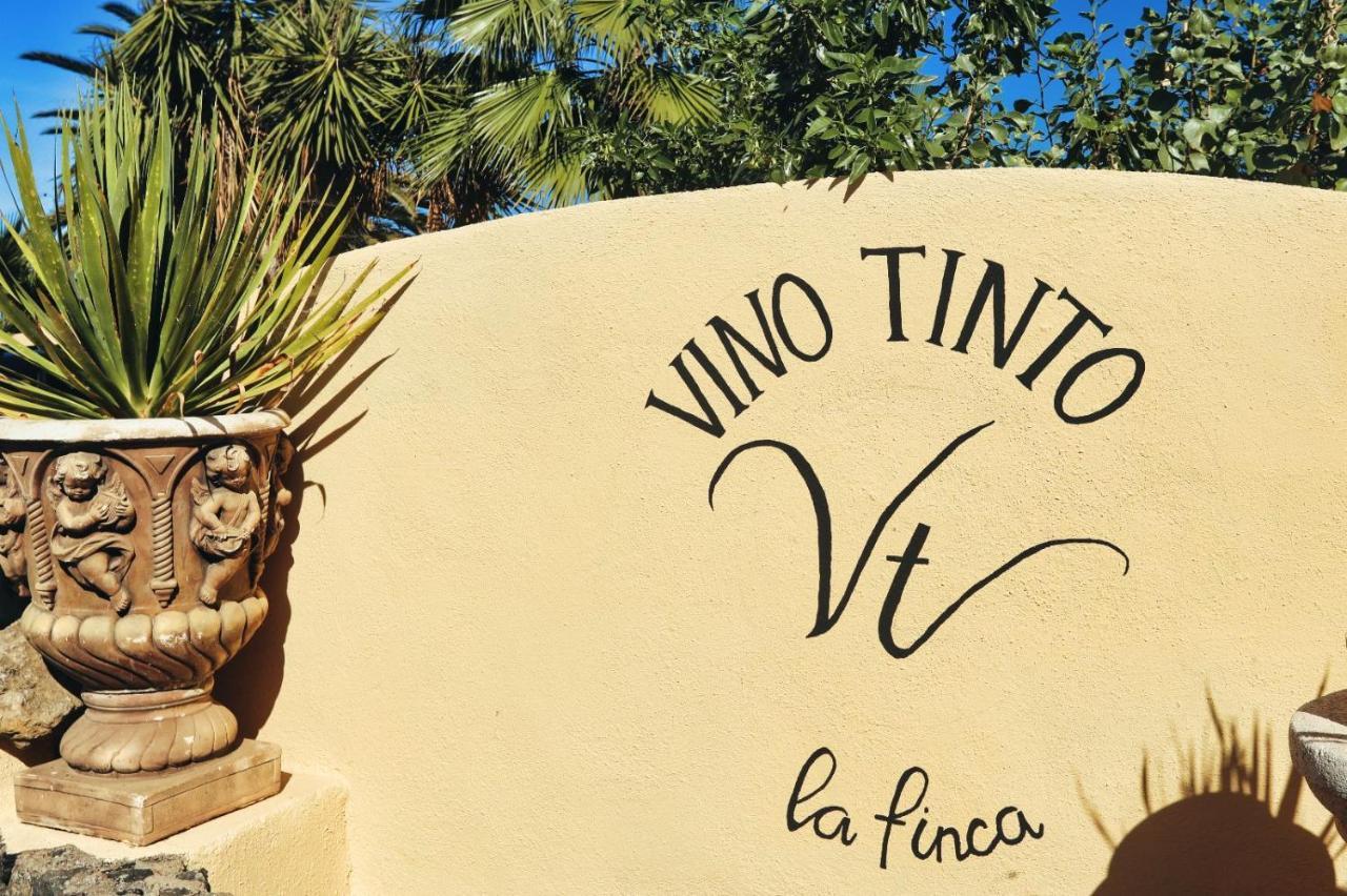 Finca Vino Tinto 5S Icod de los Vinos Kültér fotó